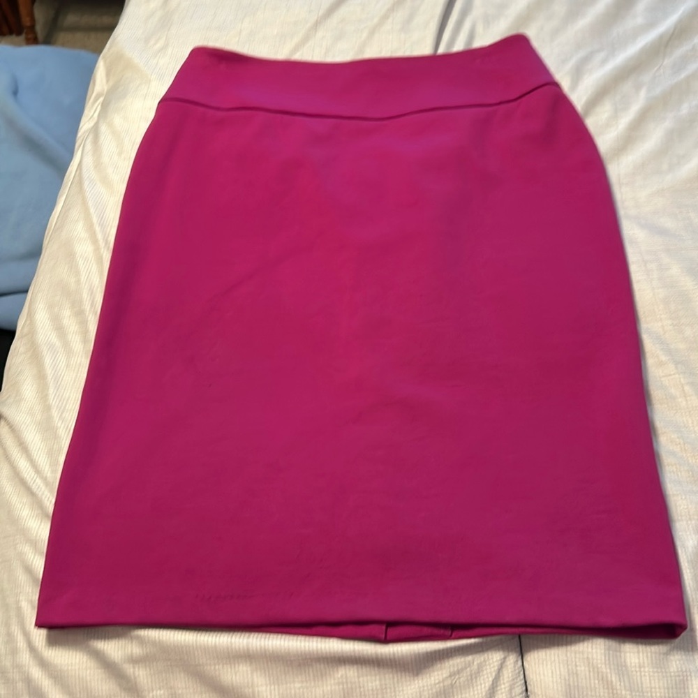Fushia pencil skirt